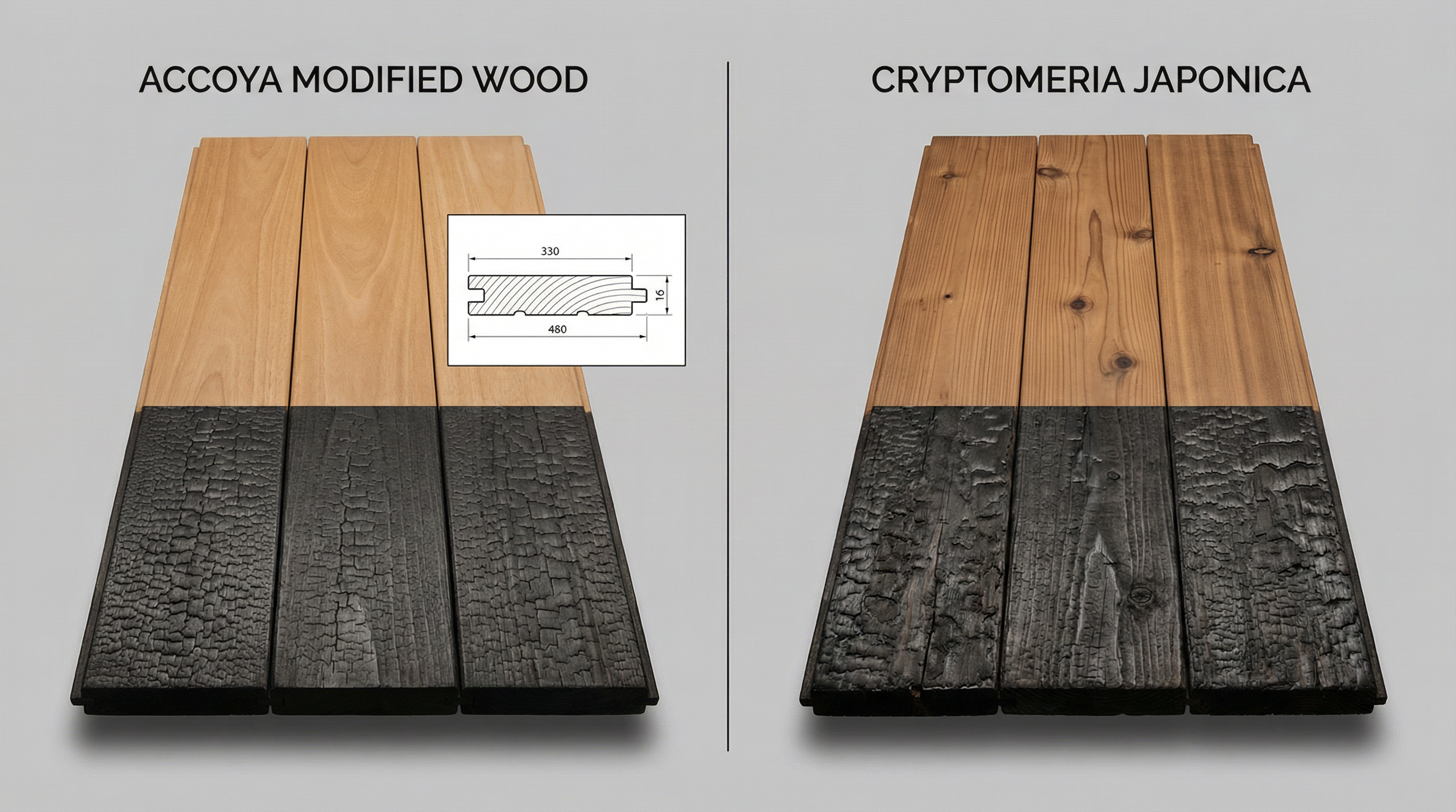 Accoya vs Cryptomeria: Welke keuze maakt u?